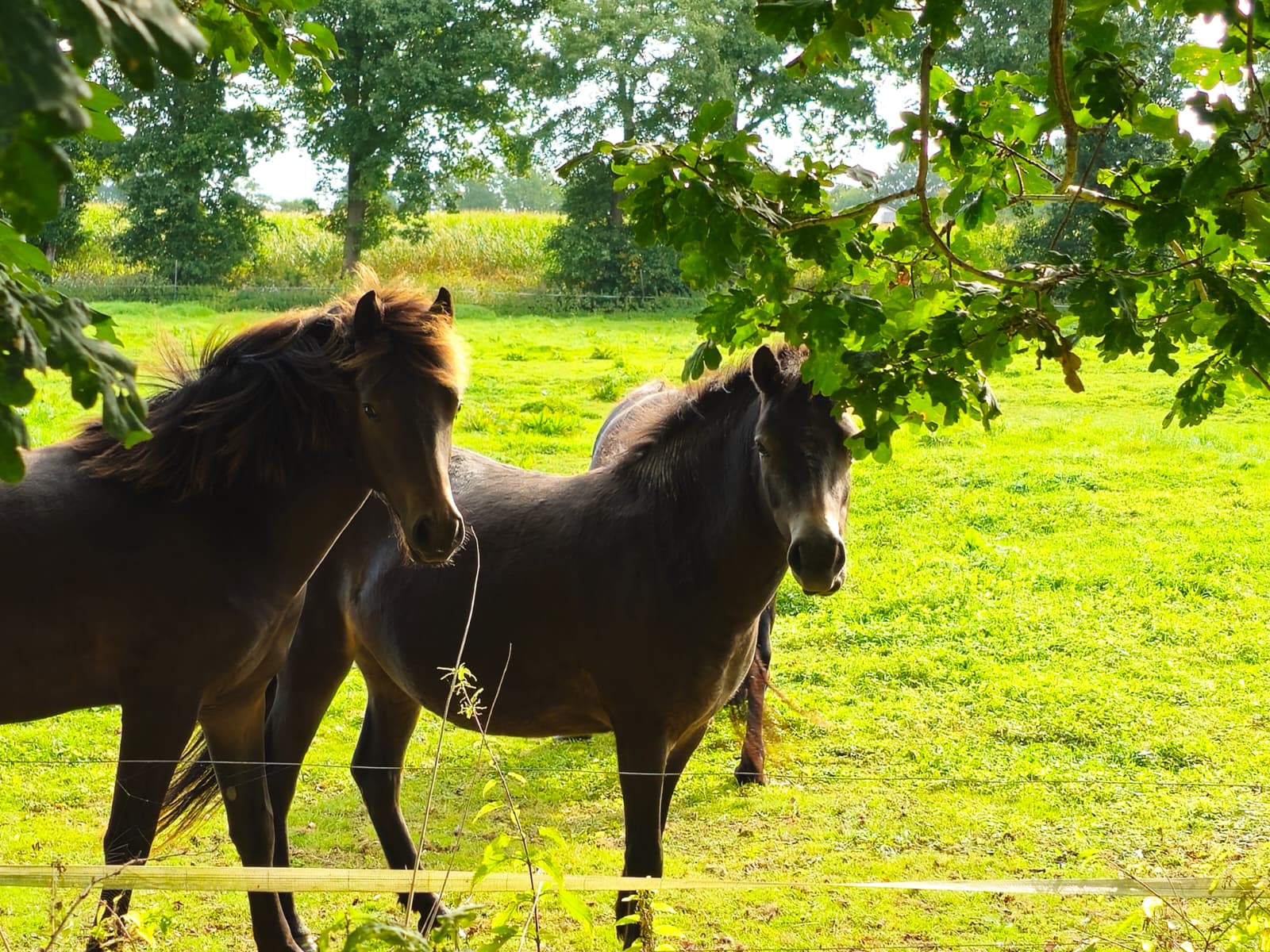 Butzelkinder Kindertagespflege Kinder Spielen